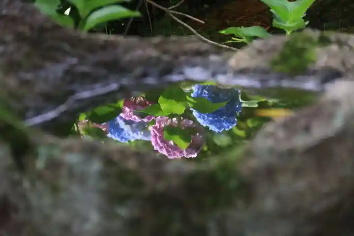 三春駒神社の手水舎