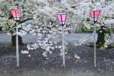 三嶋大社(静岡県)