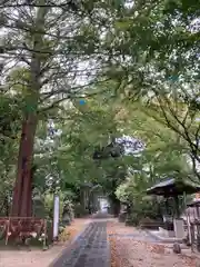 越谷香取神社(埼玉県)