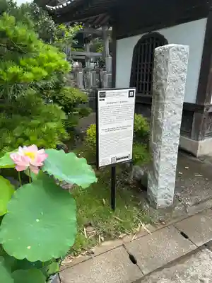 光念寺(神奈川県)