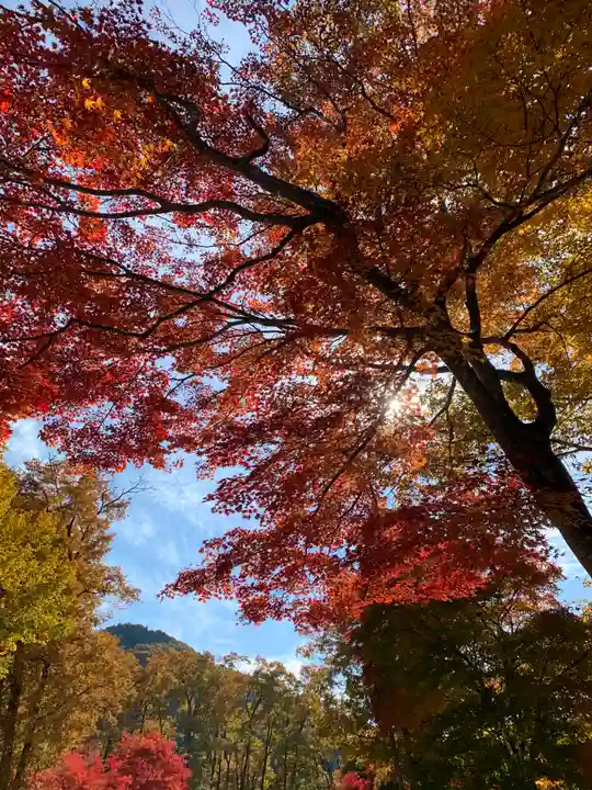 塔のへつりの自然