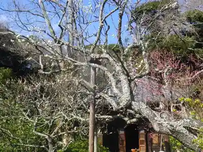 瑞泉寺のその他建物