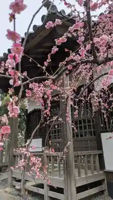 上宮天満宮(大阪府)