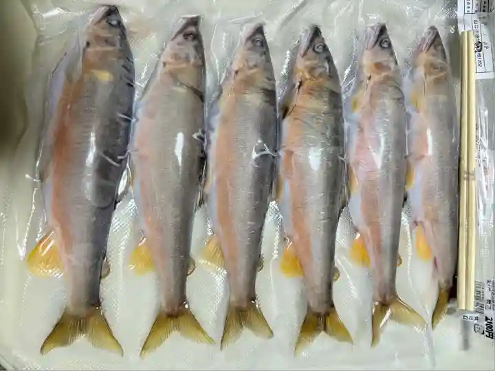 三坂神社(弾除け神社)(山口県)