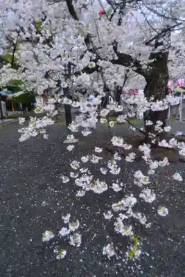 三嶋大社(静岡県)
