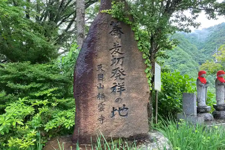 栖雲寺のその他建物