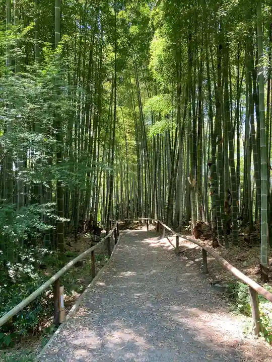高台寺(高台寿聖禅寺・高臺寺)の周辺
