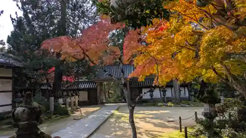 西明寺(京都府)