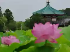 寛永寺不忍池弁天堂の本殿