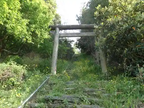 山崎忌部神社の鳥居