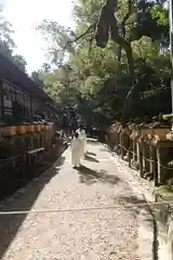 春日大社のお祭り