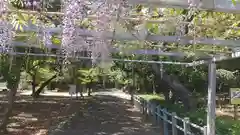 熊野神社の自然