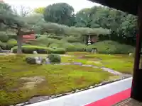 一華院の庭園