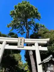 菊田神社の鳥居