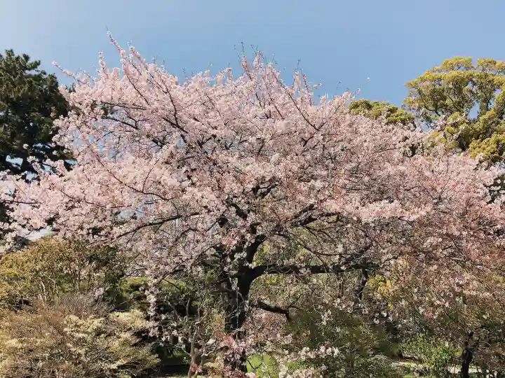 報徳二宮神社(神奈川県)