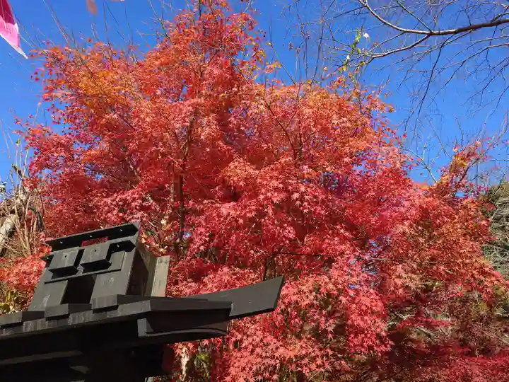 山賊魂稲成神社(山口県)
