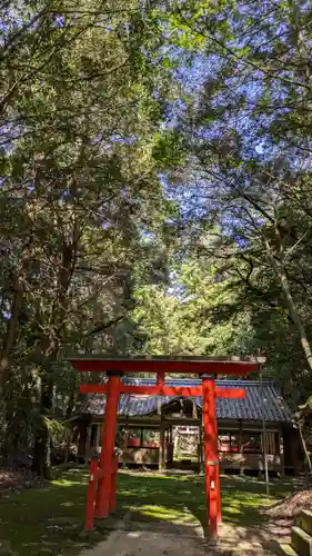白鬚神社(京都府)