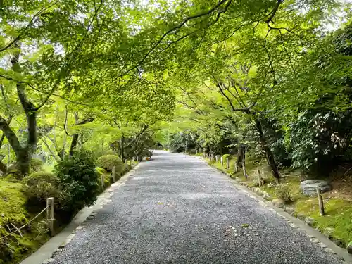 龍安寺(京都府)