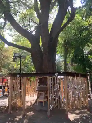 平塚八幡宮(神奈川県)