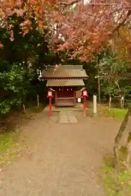 鷲宮神社(埼玉県)
