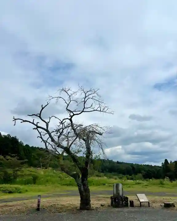 人穴浅間神社(静岡県)