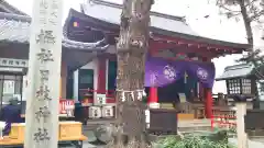 日本橋日枝神社の本殿