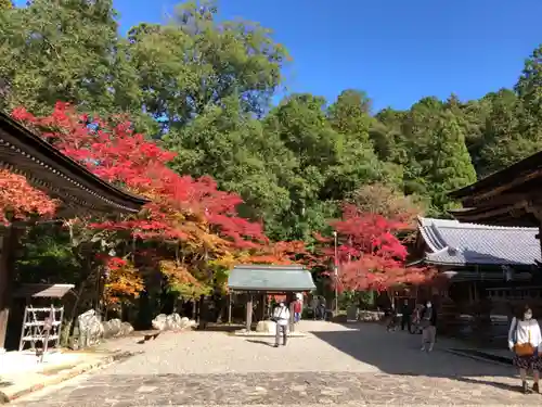 西明寺の景色