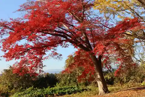 八幡神社の景色