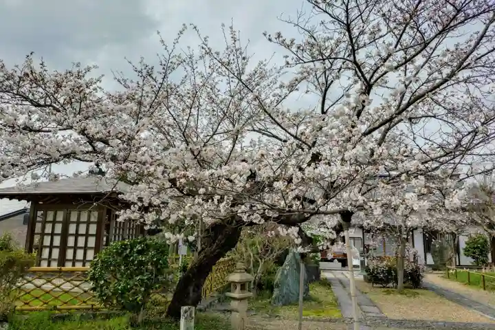 橋寺 放生院(京都府)