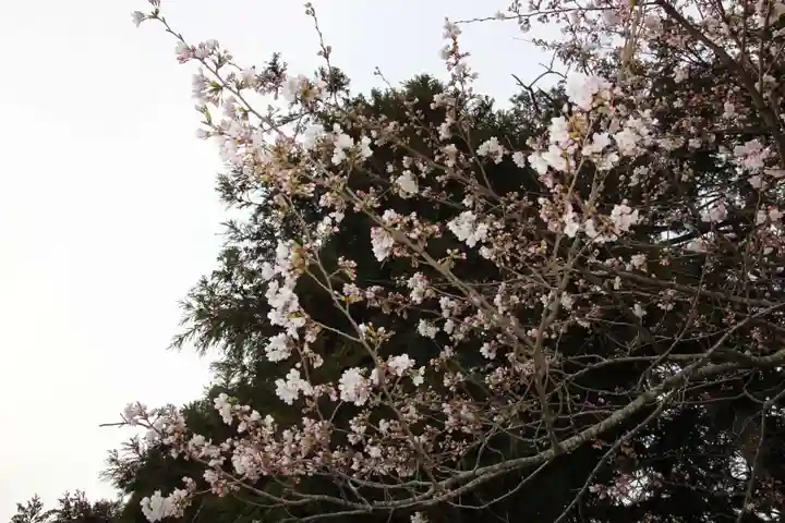 大國主神社の自然
