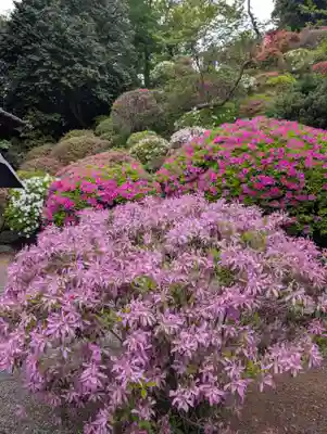等覚院(神奈川県)
