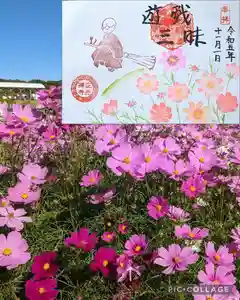 正光寺の御朱印 2023年11月01日(水)〜(2023年11月04日(土) 11時08分40秒投稿)