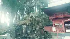 富士山東口本宮 冨士浅間神社(静岡県)