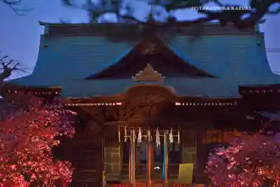 桜神宮(東京都)