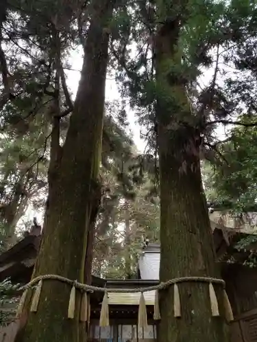 高千穂神社(宮崎県)