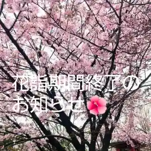 彌彦神社 (伊夜日子神社)の体験その他(2024年05月07日(火) 10時01分53秒投稿)