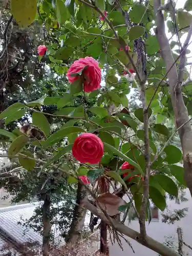 金刀比羅神社の自然