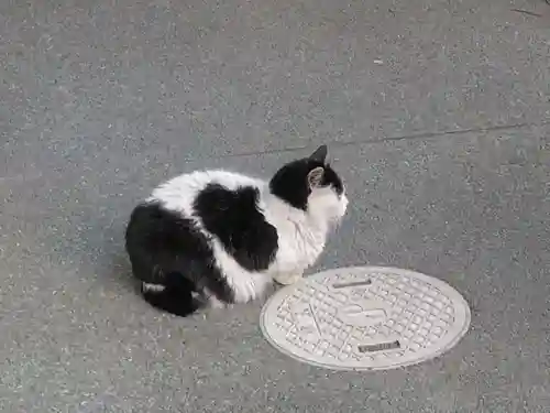 新照寺(東京都)