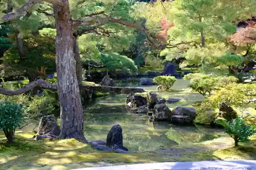 慈照寺（慈照禅寺・銀閣寺）の庭園