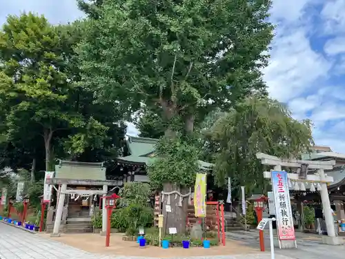 川越八幡宮(埼玉県)