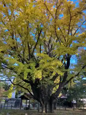 西念寺(茨城県)