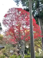 高麗神社の自然