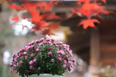 滑川神社 - 仕事と子どもの守り神の授与品その他