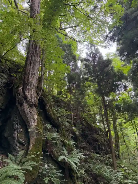 十和田神社(青森県)