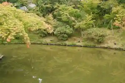 高台寺（高台寿聖禅寺・高臺寺）(京都府)