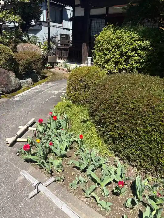 法東山 極楽寺の{uncategorized: "未分類", other: "その他", undefined: "問題あり", building: "その他建物", grave: "お墓", sacred_gate: "鳥居", guardian: "狛犬", statue: "像", buddha: "仏像", history: "歴史", nature: "自然", garden: "庭園", animal: "動物", pagoda: "塔", temizu: "手水舎", mountain_gate: "山門・神門", sanctuary: "本殿・本堂", subordinate: "末社・摂社", art: "芸術", scenery: "景色", jizo: "地蔵", ema: "絵馬", goshuin: "御朱印", omikuji: "おみくじ", items: "授与品その他", amulet: "お守り", goshuincho: "御朱印帳", eats: "食事", festival: "お祭り", votive_dance: "神楽", shichigosan: "七五三参", wedding: "結婚式", experience: "体験その他", initially: "初詣", around: "周辺", anti_infection: "感染症対策"}