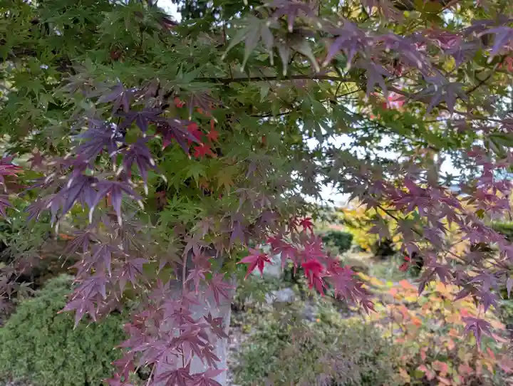 豊景神社(福島県)