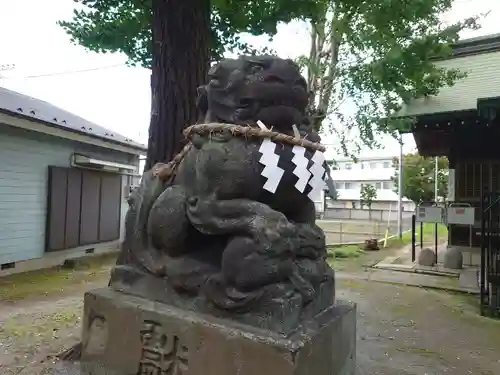 三ツ和氷川神社の狛犬