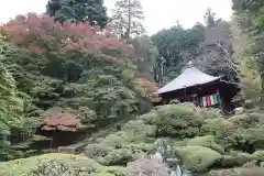 法雲寺の庭園