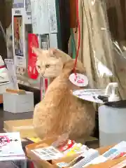 王子神社の動物